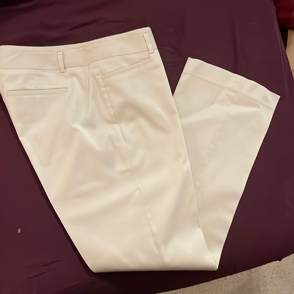 Express Columnist Pants